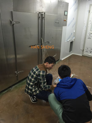 Fornitori a circolazione d'aria caldi di Tray Drying Oven From China della polvere di acciaio inossidabile di GMP del Governo bagnato farmaceutico del granello